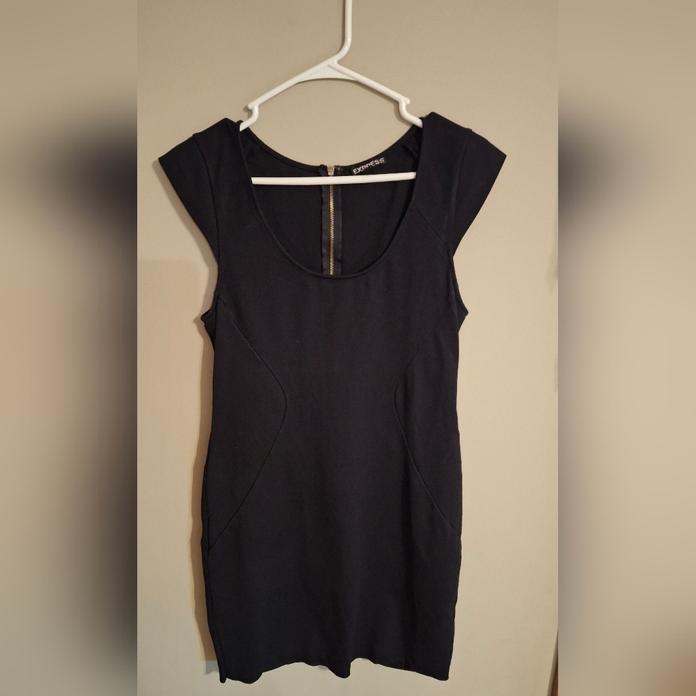 Express Black Sleeveless Bodycon Dress full back zipper